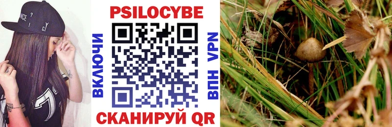 где продают наркотики  Малоярославец  Галлюциногенные грибы Magic Shrooms 