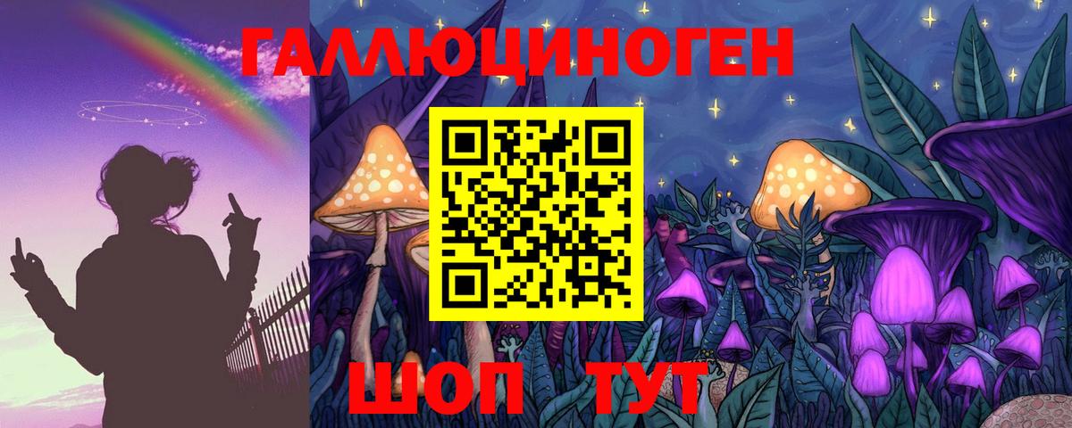 купить  цена  Вход с VPN  Малоярославец  Галлюциногенные грибы Psilocybe 