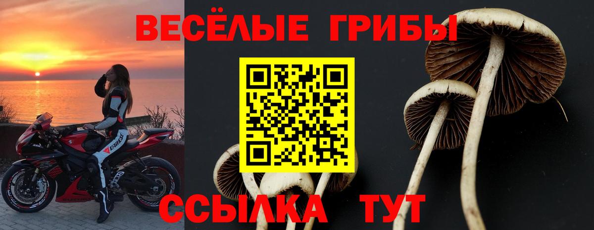 Галлюциногенные грибы MAGIC MUSHROOMS Малоярославец